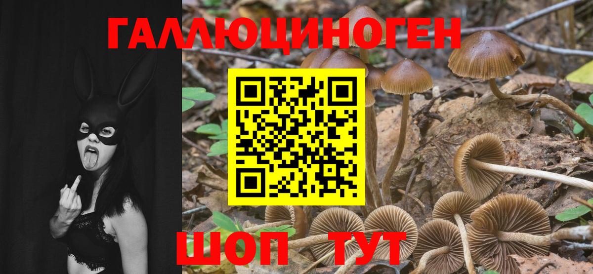 Псилоцибиновые грибы мухоморы Белебей