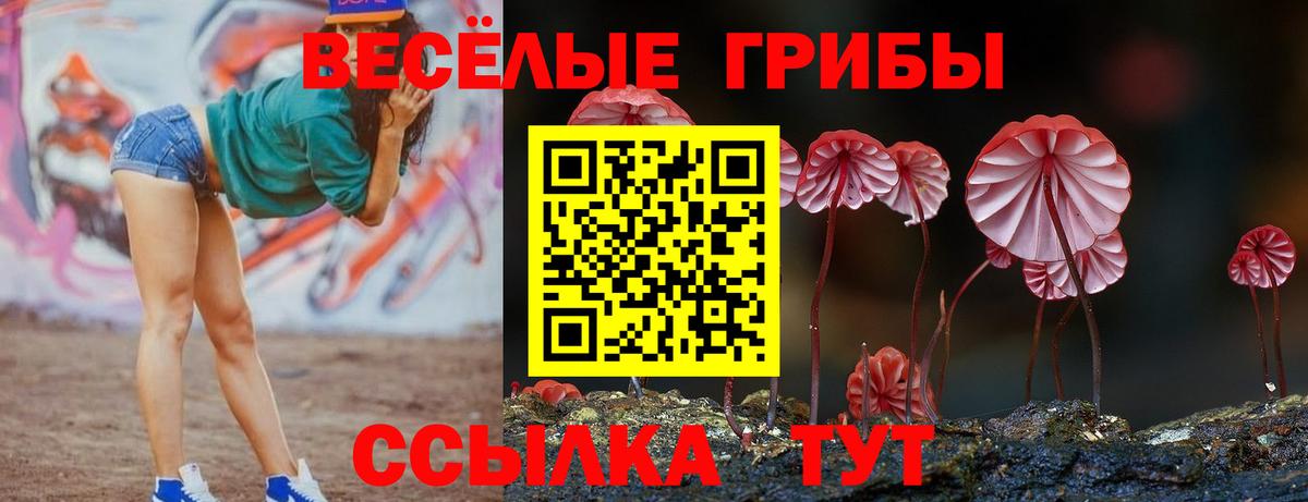 Галлюциногенные грибы мицелий  Вход с VPN  Белебей 